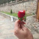 Rural El Nuevo Semellon Aceptamos Mascotas Inn La Llama