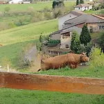 Rural El Nuevo Semellon Aceptamos Mascotas Inn *