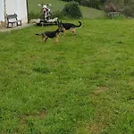 Rural El Nuevo Semellon Aceptamos Mascotas Inn La Llama