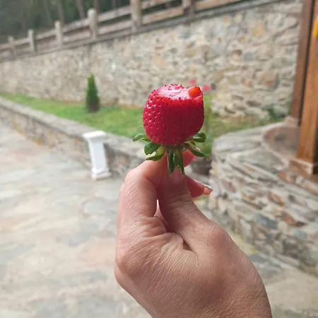 Rural El Nuevo Semellon Aceptamos Mascotas Locanda La Llama