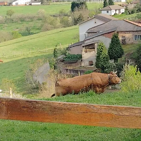Rural El Nuevo Semellon Aceptamos Mascotas Locanda *