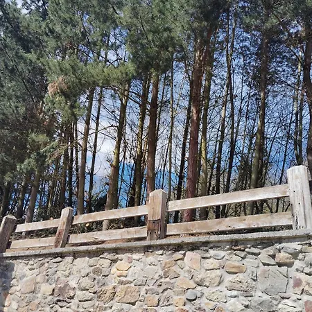 Rural El Nuevo Semellon Aceptamos Mascotas Gasthof La Llama