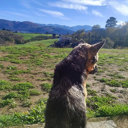 Locanda Rural El Nuevo Semellon Aceptamos Mascotas