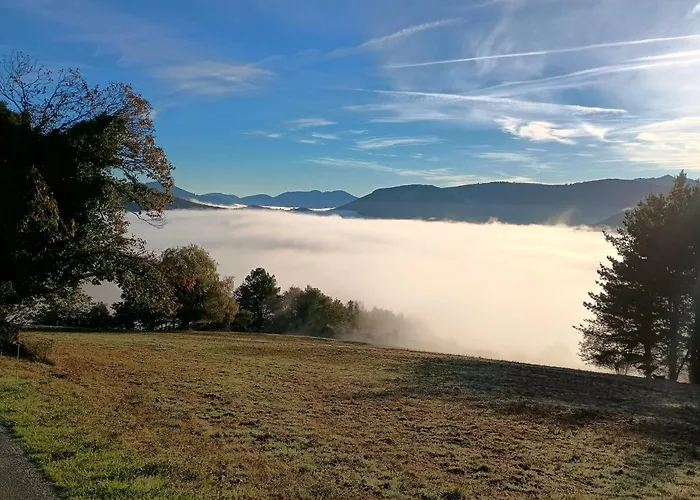Gasthof Rural El Nuevo Semellon Aceptamos Mascotas La Llama