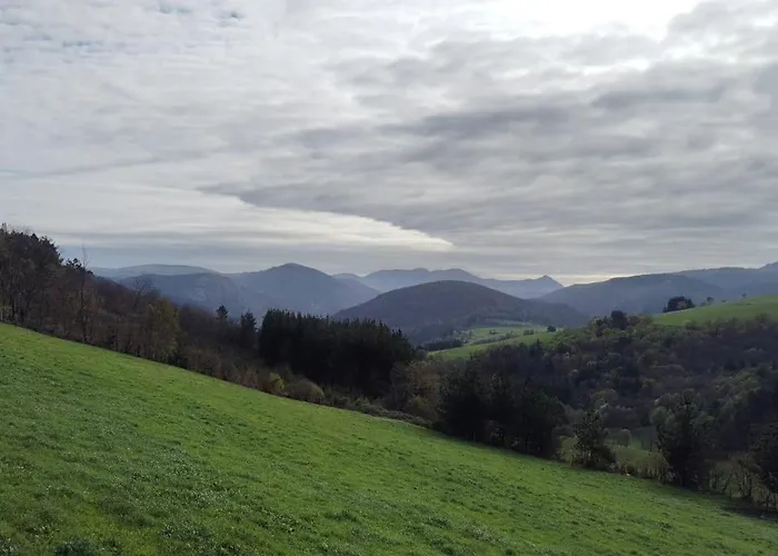 Rural El Nuevo Semellon Aceptamos Mascotas La Llama