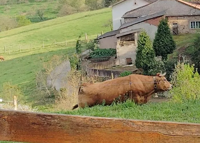 Rural El Nuevo Semellon Aceptamos Mascotas Gasthof *